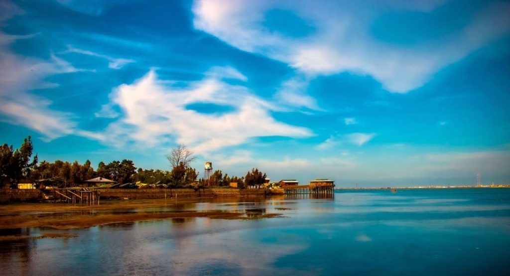 آقای کمی